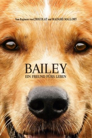Image Bailey – Ein Freund fürs Leben