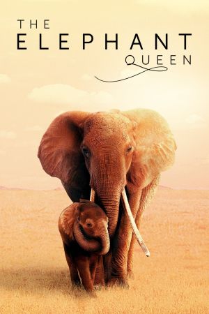 Image Die Elefantenmutter