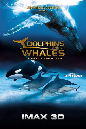 Image IMAX: Delfine und Wale