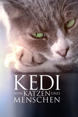 Image Kedi: Von Katzen und Menschen
