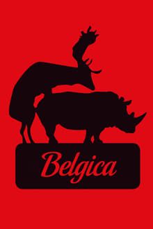 Image Café Belgica