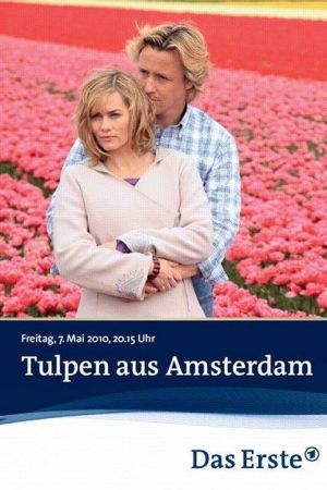 Image Tulpen aus Amsterdam