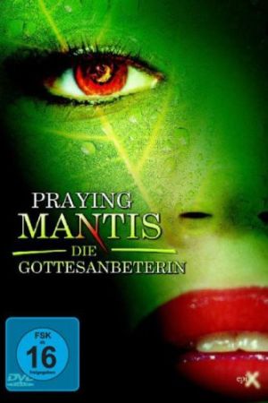 Image Praying Mantis - Die Gottesanbeterin