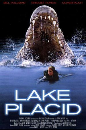 Image Lake Placid
