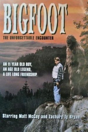 Image Mein grosser Freund Bigfoot