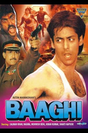 Image Baaghi: A Rebel for Love