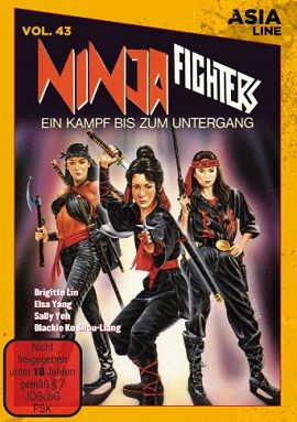 Image Ninja Fighters