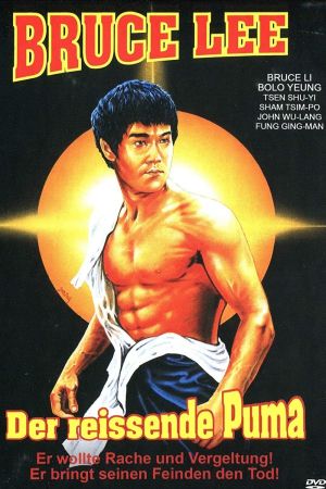 Image Bruce Lee - Der reißende Puma