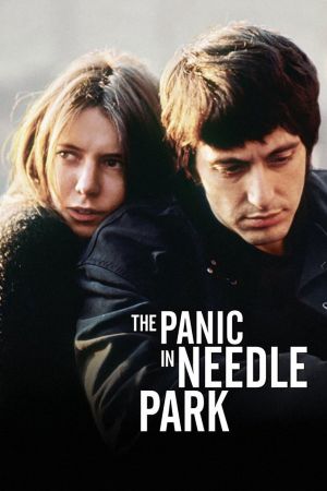 Image Panik im Needle Park