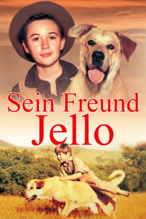 Image Sein Freund Jello