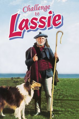 Image Lassie in Not