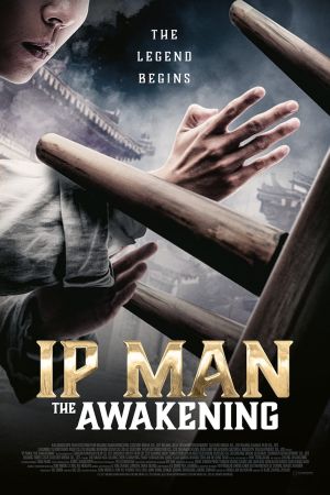 Image Ip Man: The Awakening