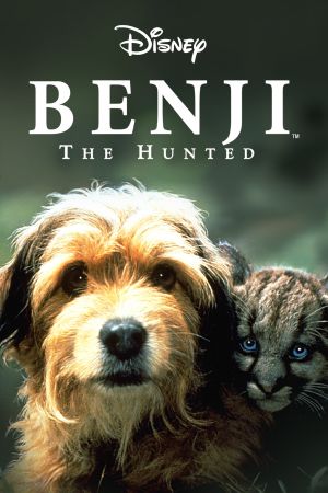 Image Benji, sein größtes Abenteuer