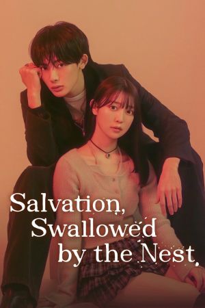 Image Salvation, Swallowed by the Nest – Der Film