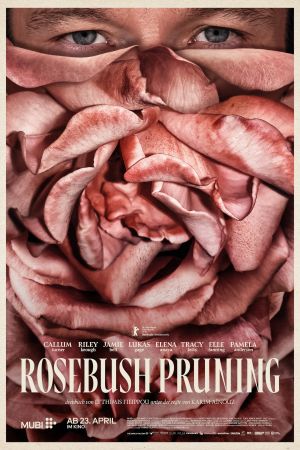 Image Rosebush Pruning – Der Film